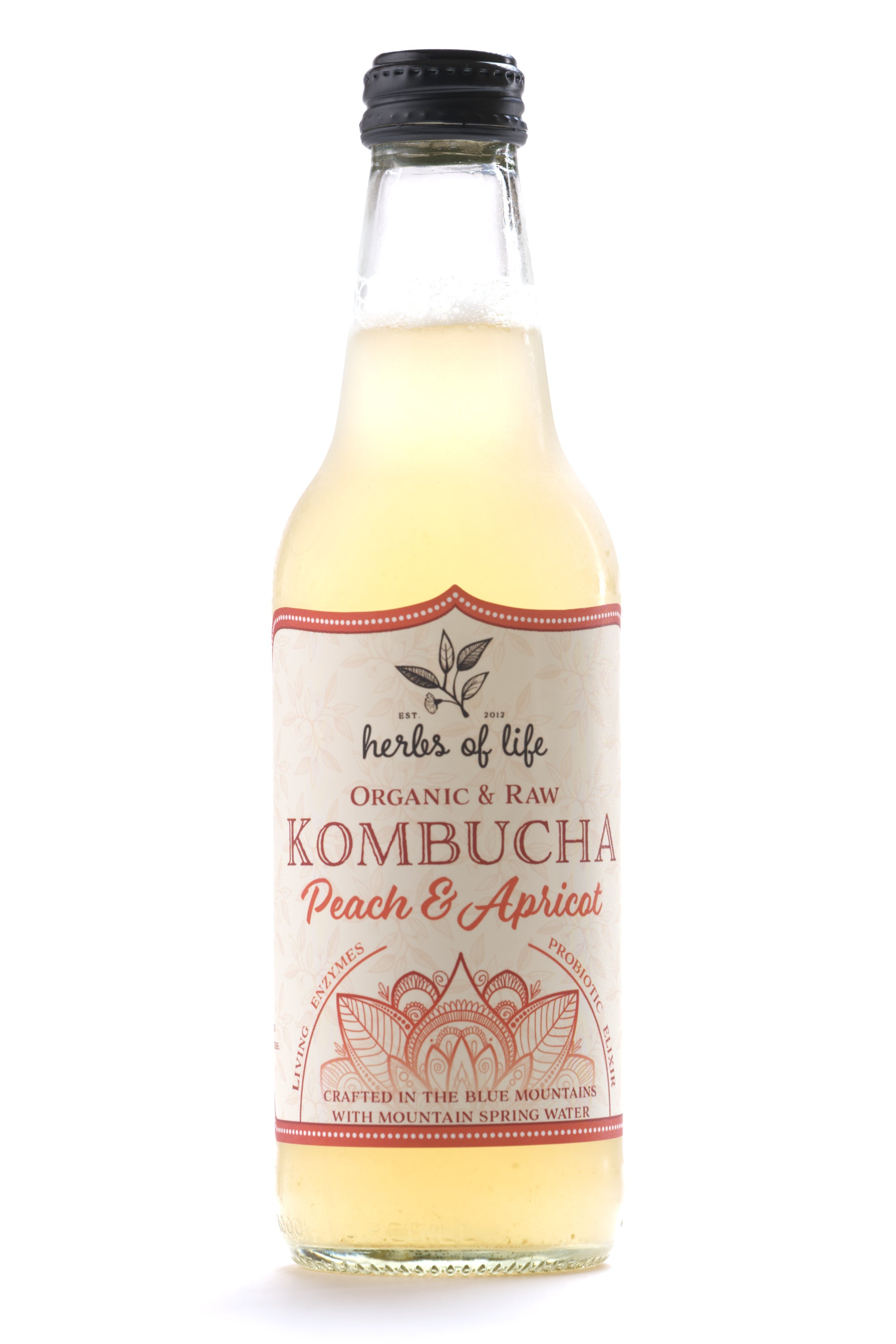 Herbs of Life Organic & Raw Kombucha - Peach & Apricot – herbs of